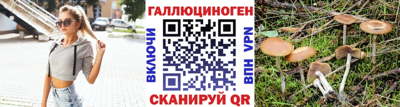 наркотики Окуловка ОМГ ОМГ Псилоцибиновые грибы Psilocybine cubensis
